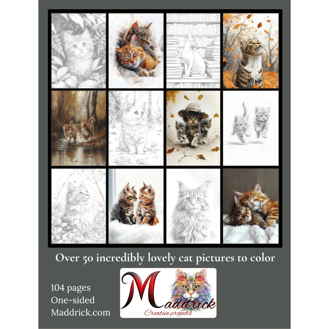 The Cat Album Coloring book