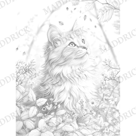 Cat Coloring Pages | Printable Adult Coloring Book PDF (Cats & Kittens)