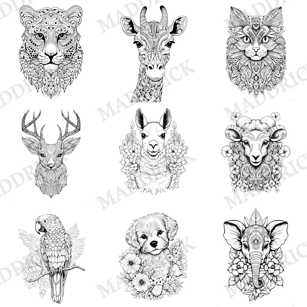 Animals Portraits Digital Coloring Pack