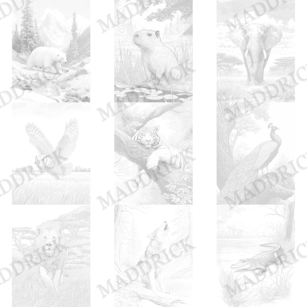 Wildlife Coloring Pages | Printable Adult Coloring Book PDF