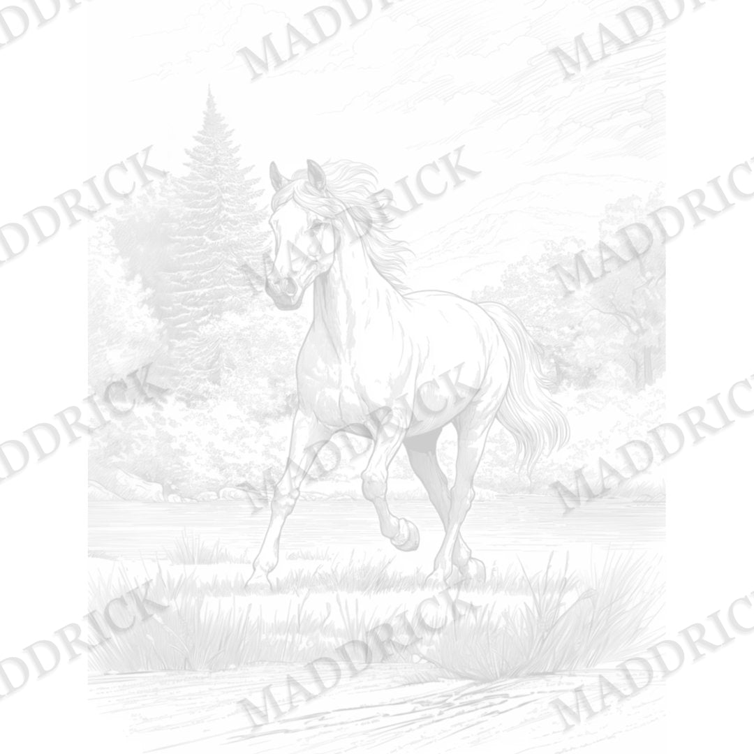 Wildlife Coloring Pages | Printable Adult Coloring Book PDF