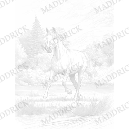 Wildlife Coloring Pages | Printable Adult Coloring Book PDF