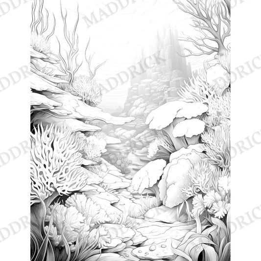 Ocean Coloring Pages | Printable Sea Life Adult Coloring Book PDF